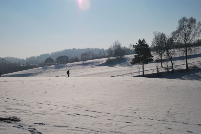 DSC_0017.jpg