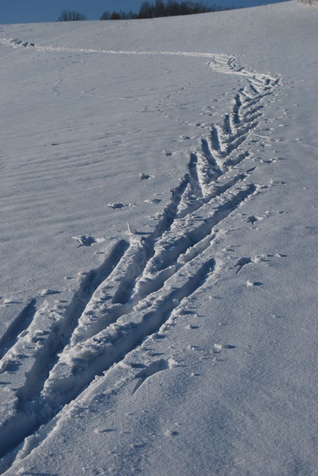 DSC_0020.jpg