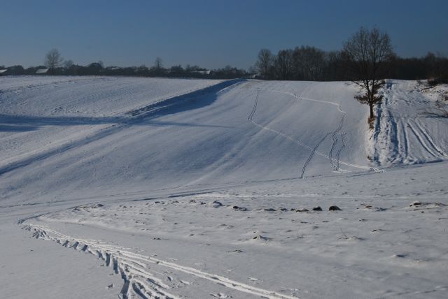 DSC_0029.jpg