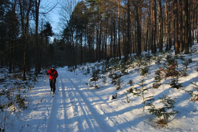 DSC_0036.jpg