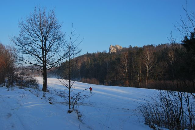 DSC_0043.jpg