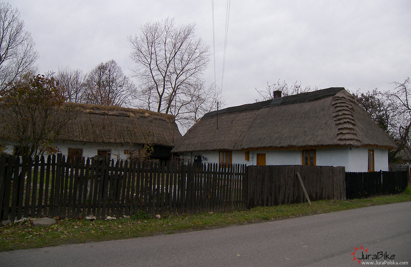 111106_2.jpg