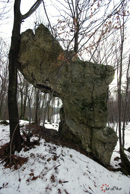 210109_zag_1.jpg