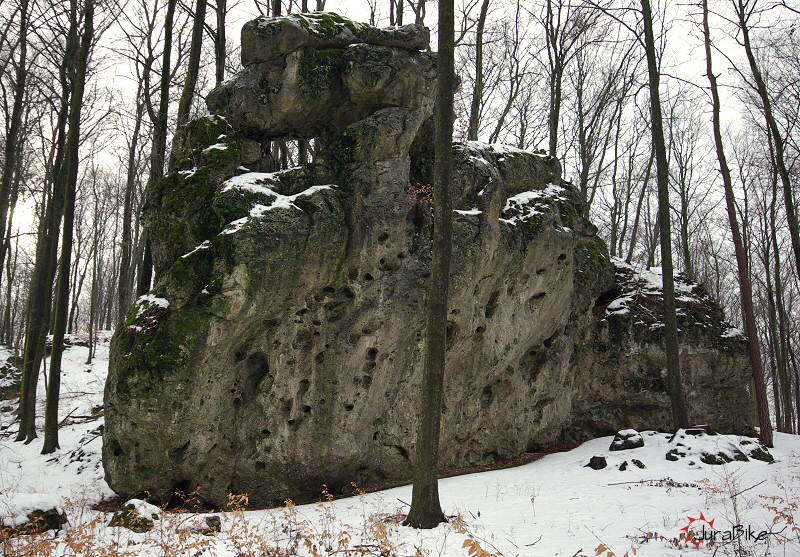 210109_zag_2.jpg