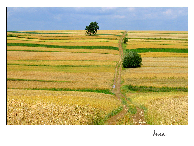 Góry Barańskie-010.jpg