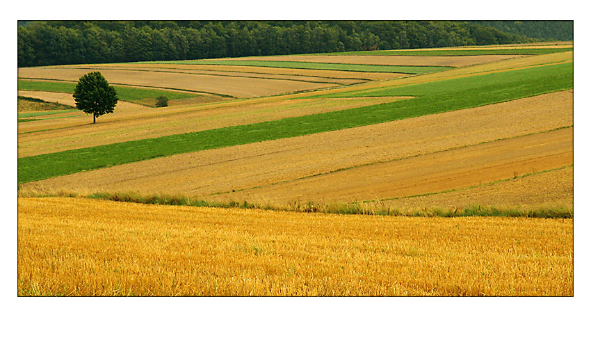 Góry Barańskie-003.jpg