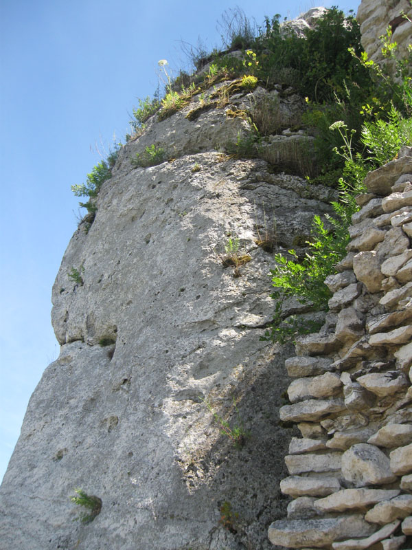 Ogrodzieniec9.jpg