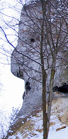 IMG_0073.JPG