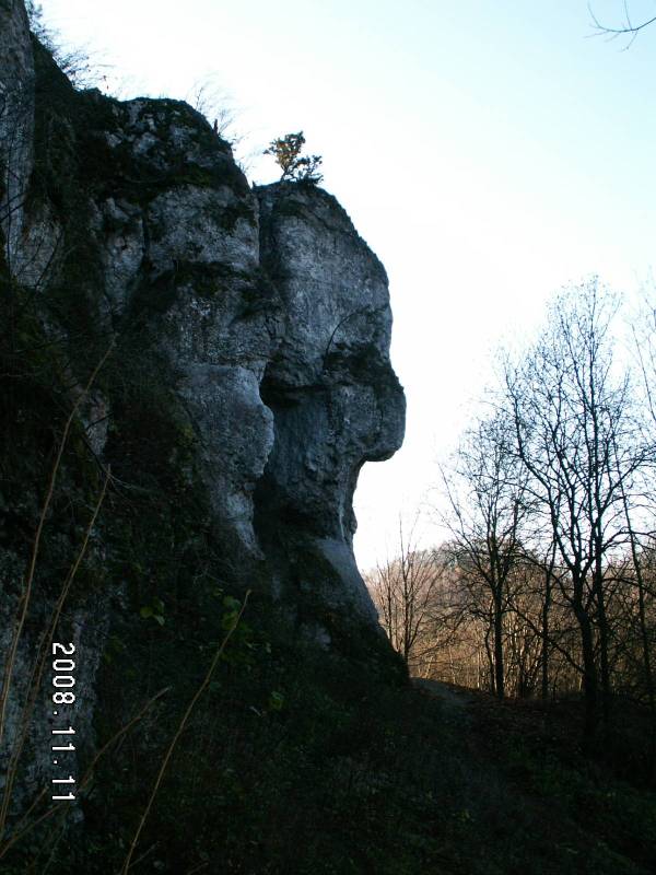 PICT0049a.jpg