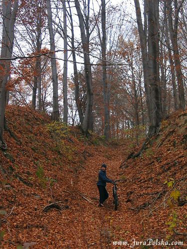 13-11-05_3.jpg