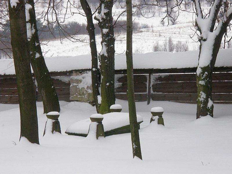 P2150013.jpg