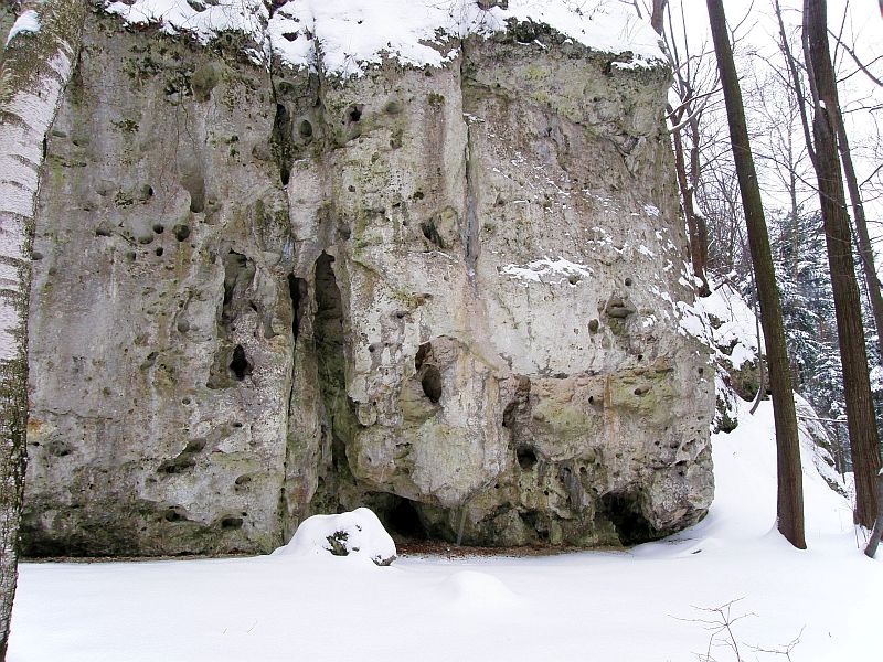 P2150063.jpg