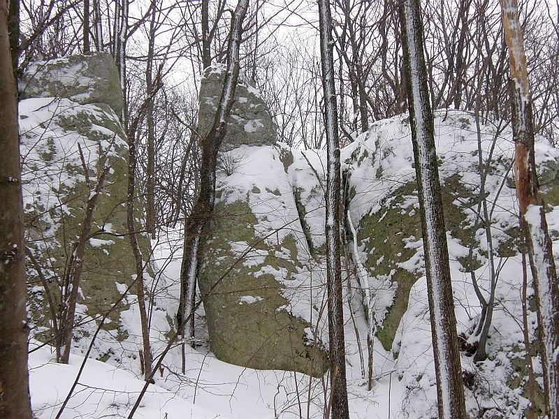 P2150077.jpg