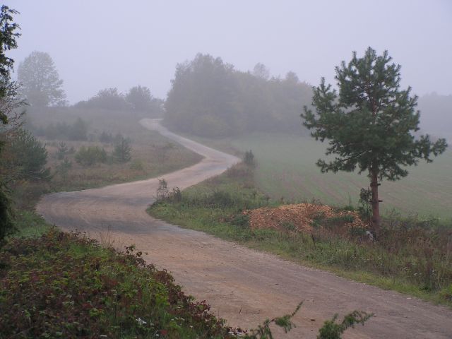 foto.jpg