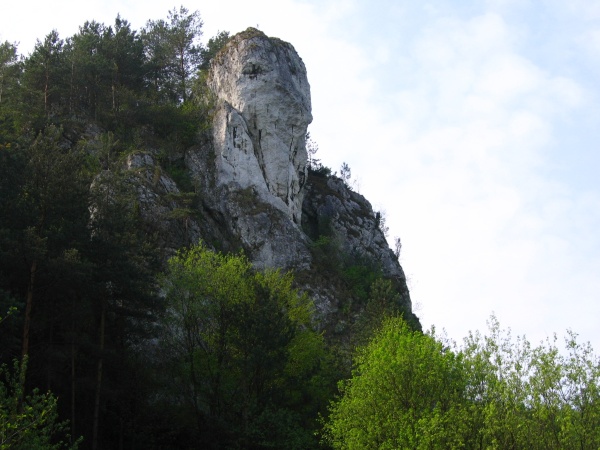 IMG_1315m.jpg