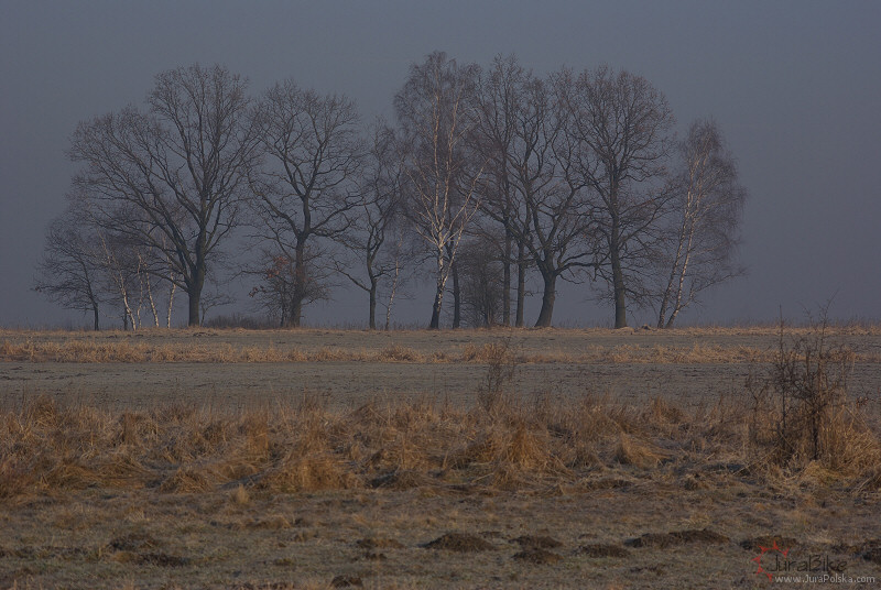 140309_3.jpg