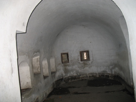 Pasternik kojec.jpg