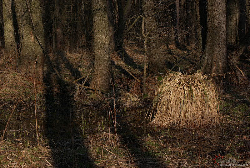 210309_2.jpg