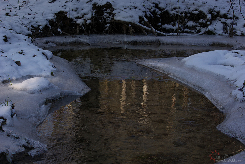 210309_3.jpg