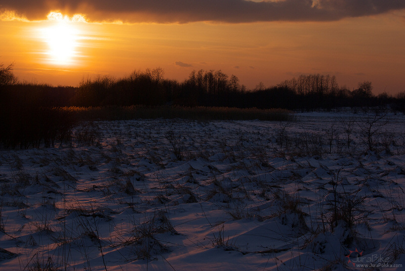 250309_2.jpg