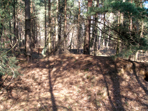 P3310027.JPG