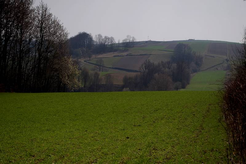 wzgórza 2.jpg