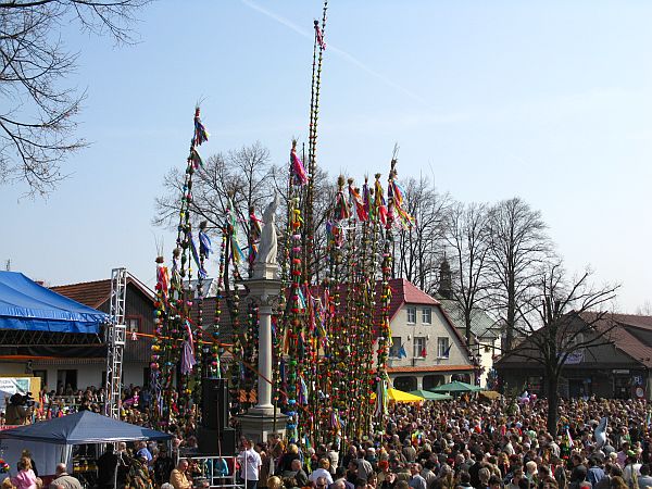 IMG_6622m.jpg