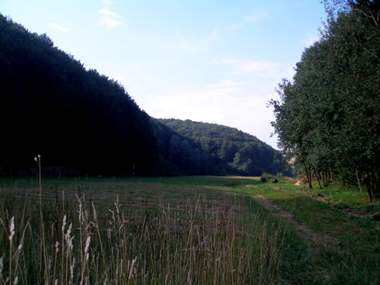 P8260055.JPG