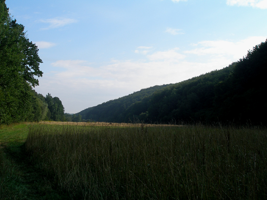 P8260054.JPG