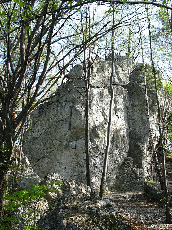 IMG_6867.jpg