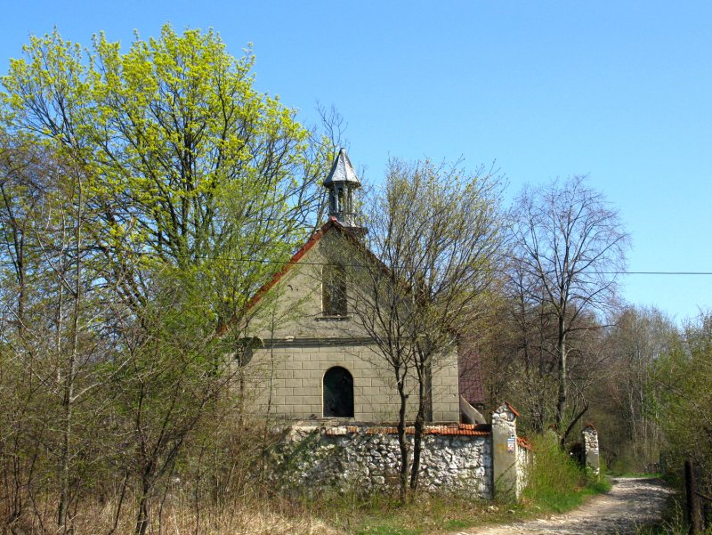 IMG_6879.jpg