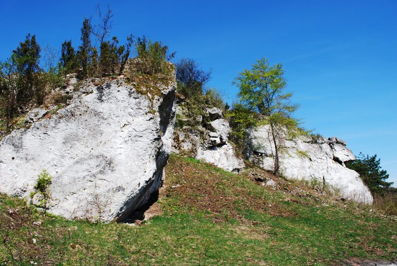 DSC_0998.JPG