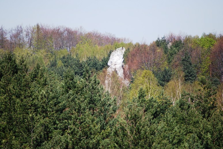 DSC_1029.JPG