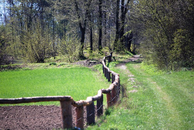 DSC_1034.JPG