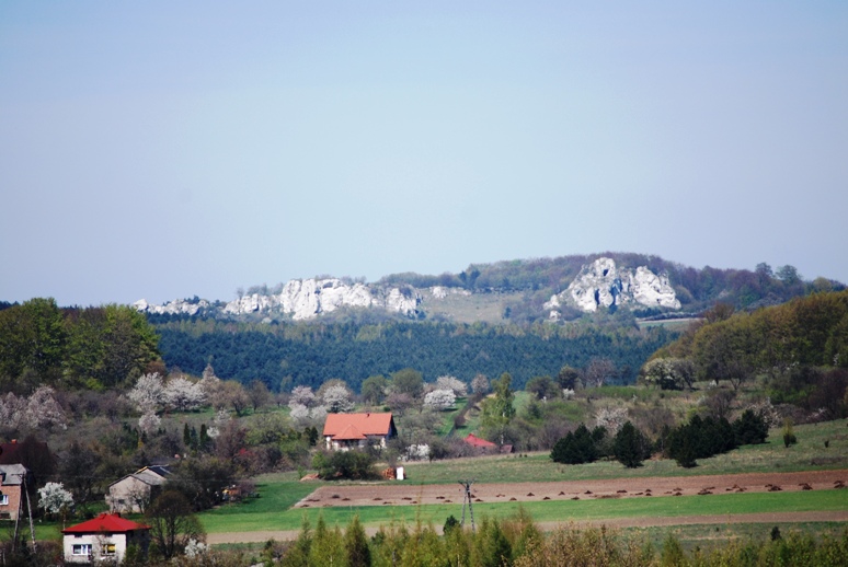 DSC_0065.JPG
