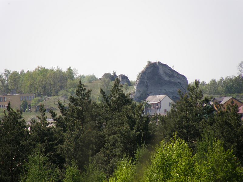 P5010072.jpg