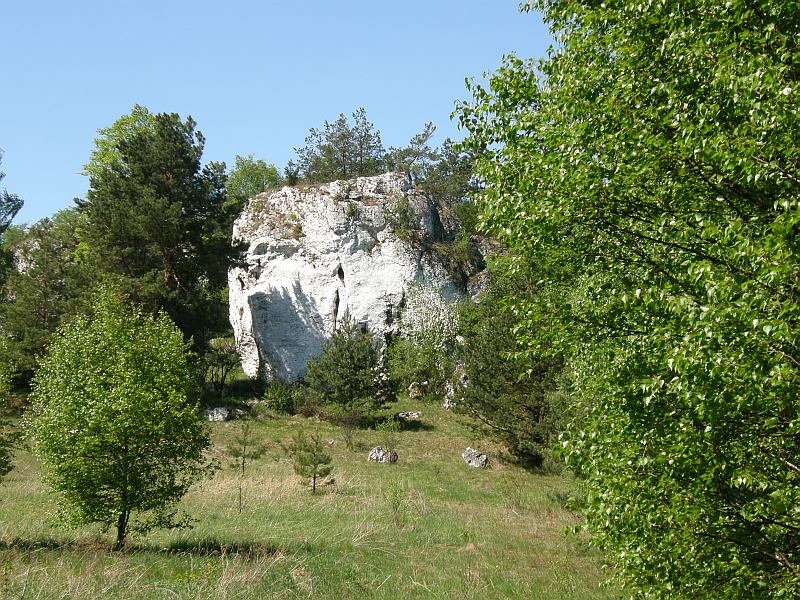 P5010075.jpg