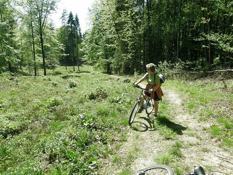 P5010083.jpg