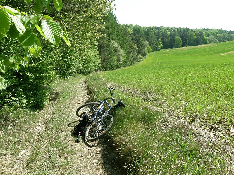 P5030008.jpg