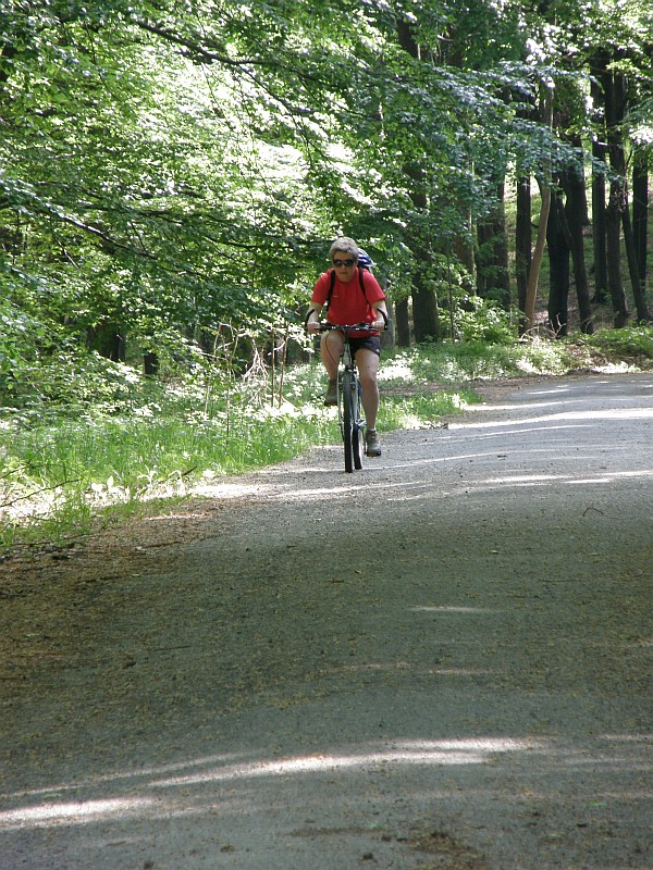 P5090001.jpg