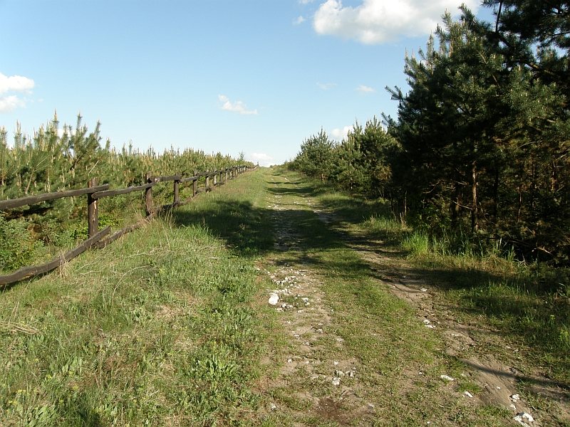 P5120001.jpg