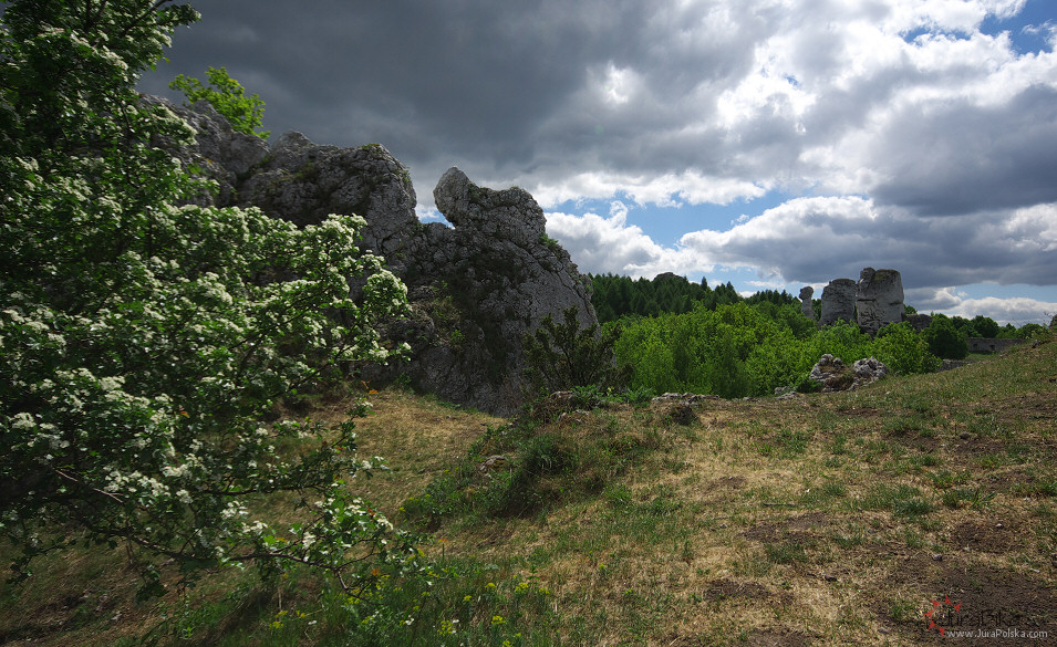 podzamcze130509_2.jpg