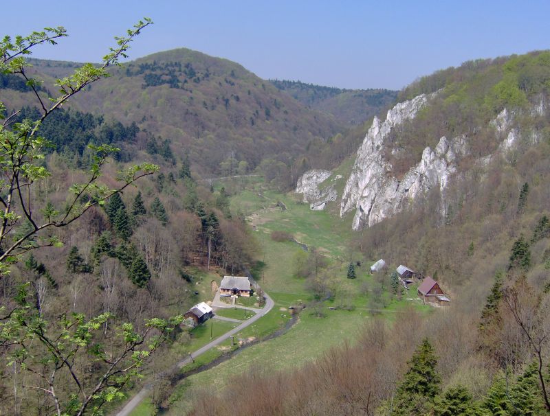 HPIM0423.jpg