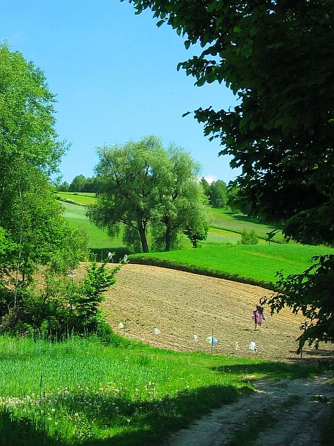 góry gorzkowskie.jpg