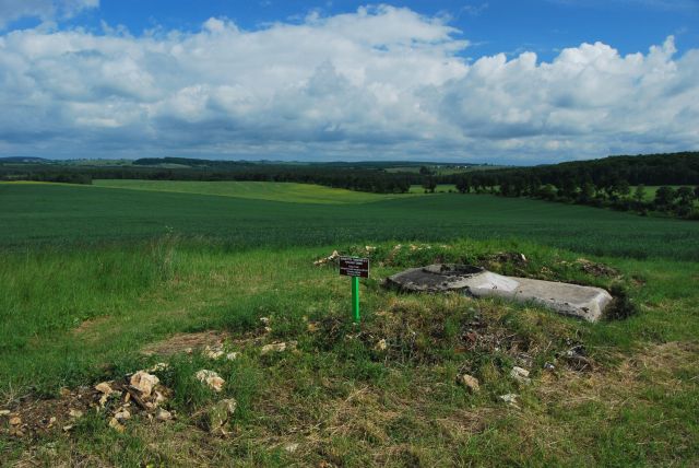 DSC_0424.jpg
