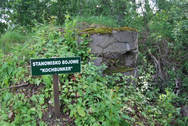 DSC_0429.jpg