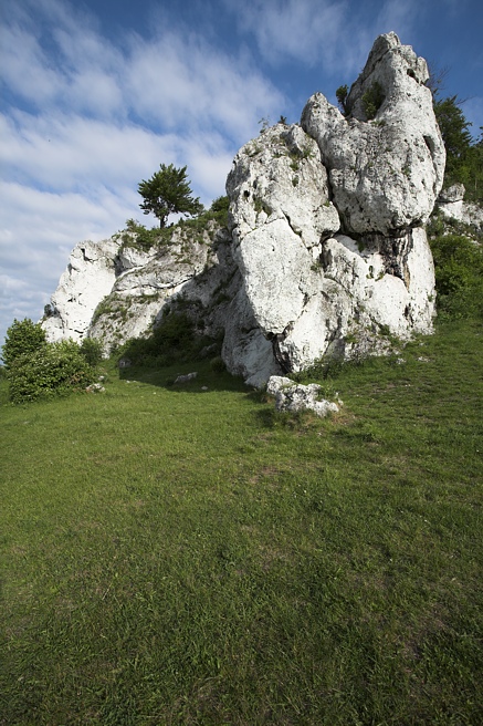 d7.jpg