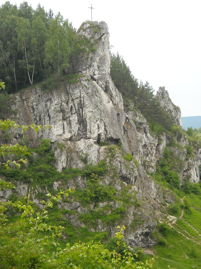 dolina2.JPG