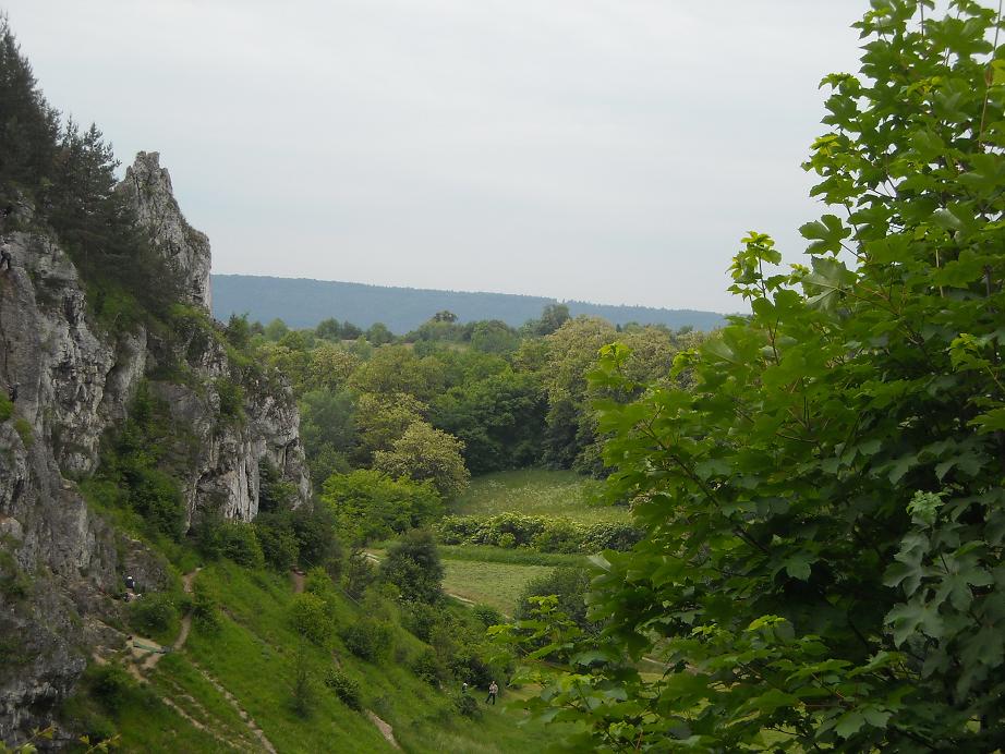 dolina.JPG