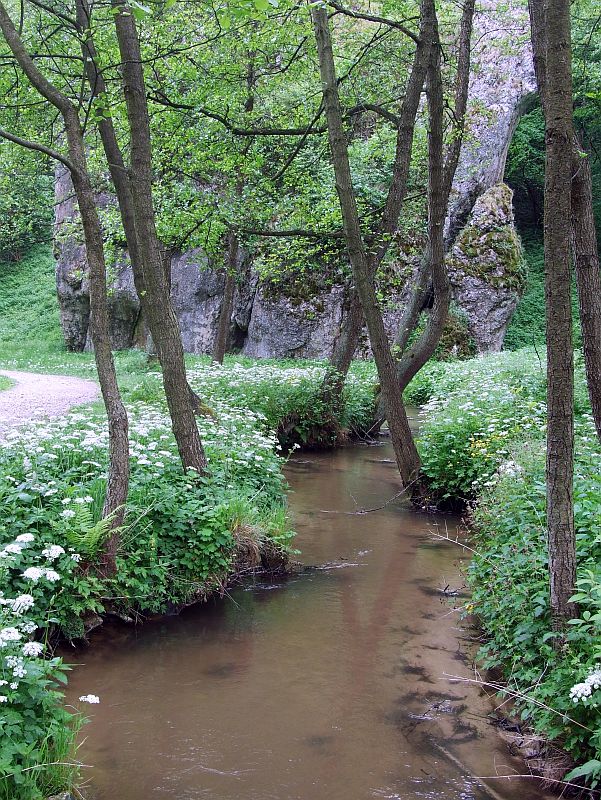dol_mnikowska-02.jpg